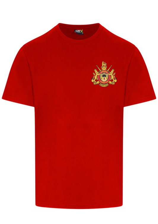DGS Tee Shirt