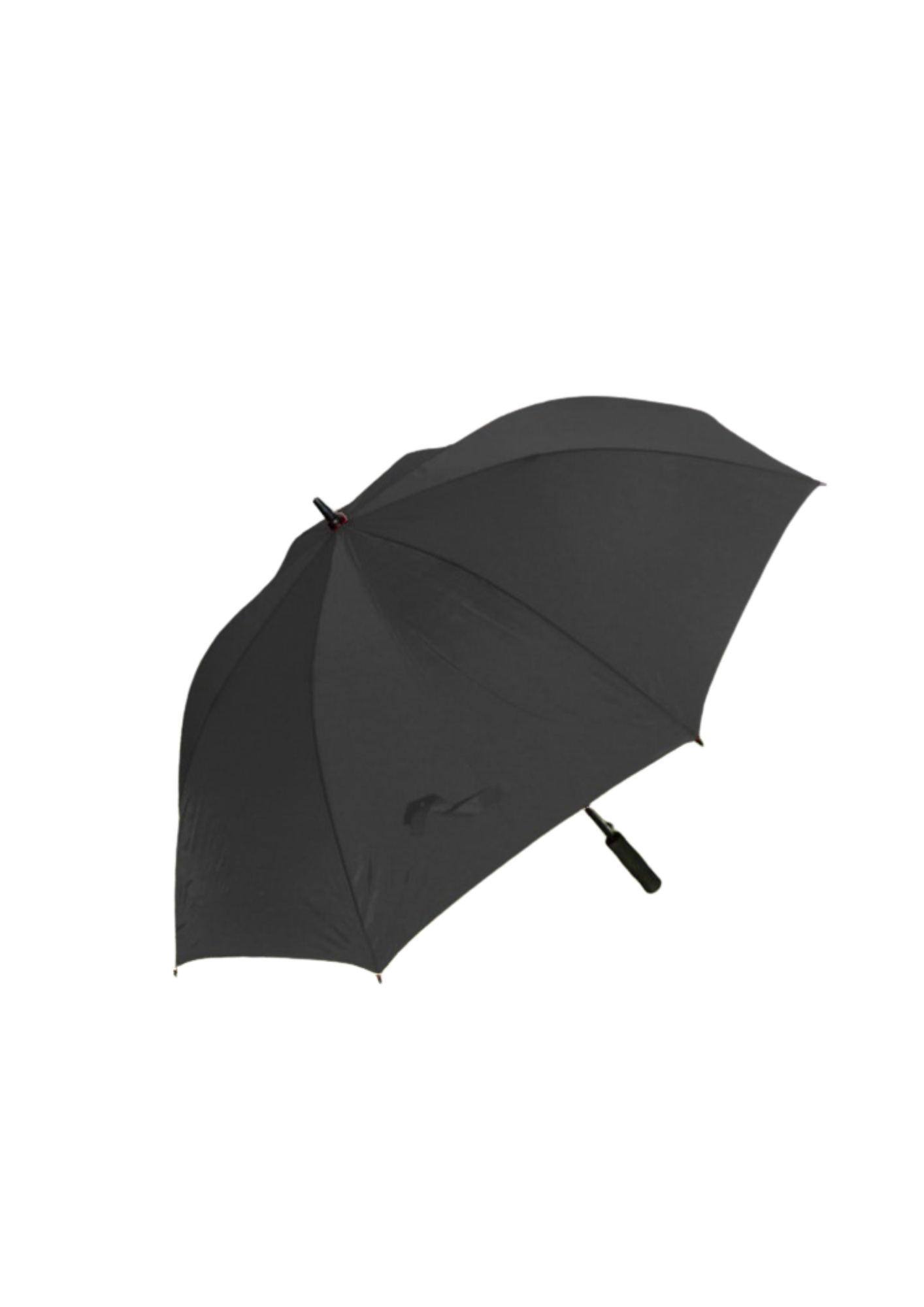 BLSC Branded Umbrellas