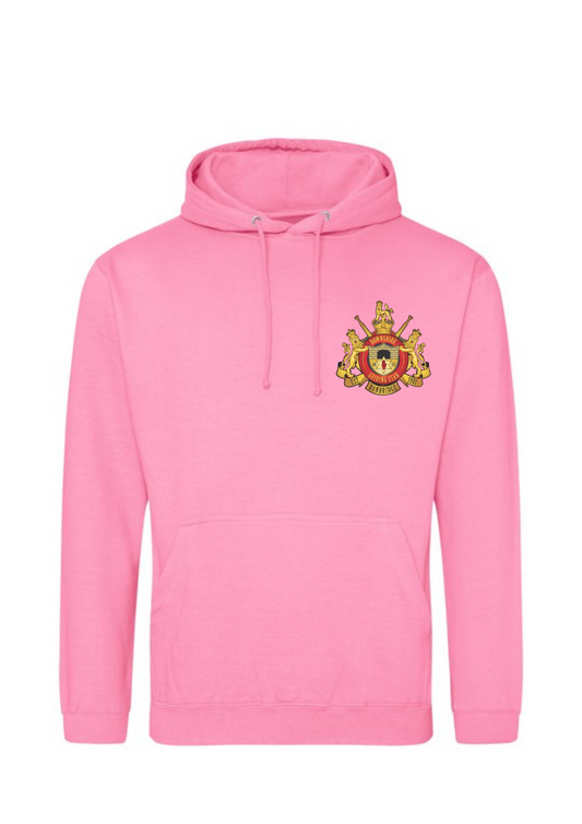 DGS College Hoodie