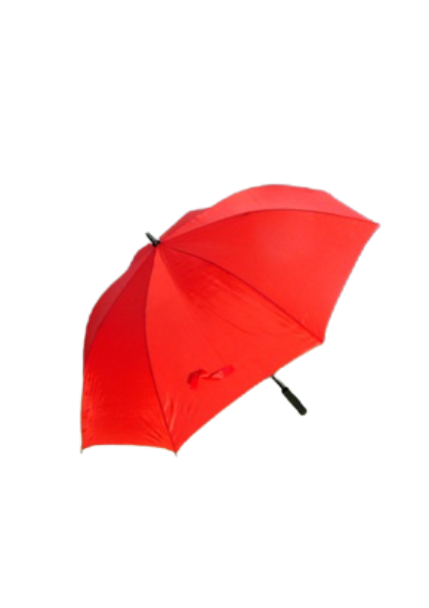 BLSC Branded Umbrellas