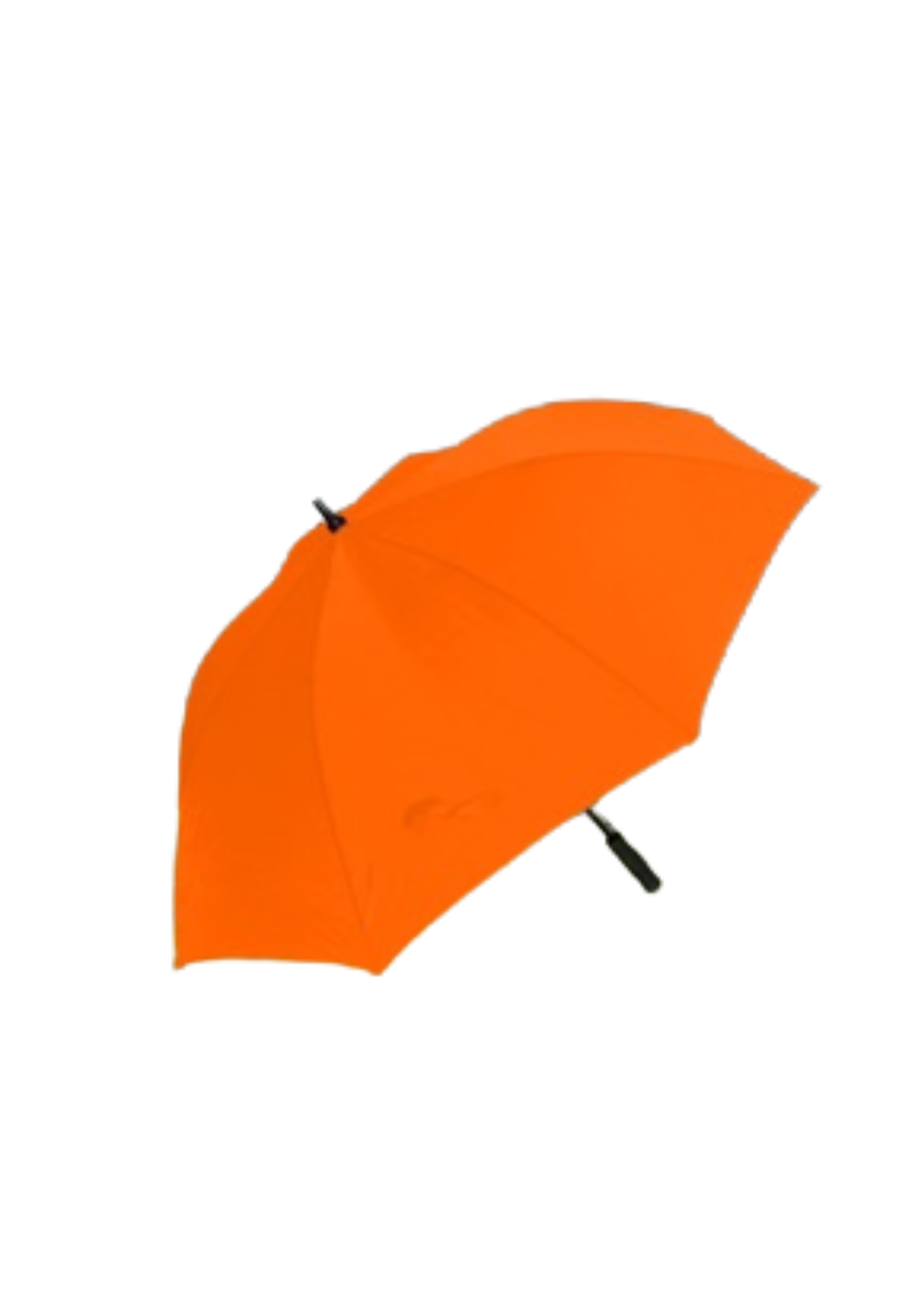 BLSC Branded Umbrellas