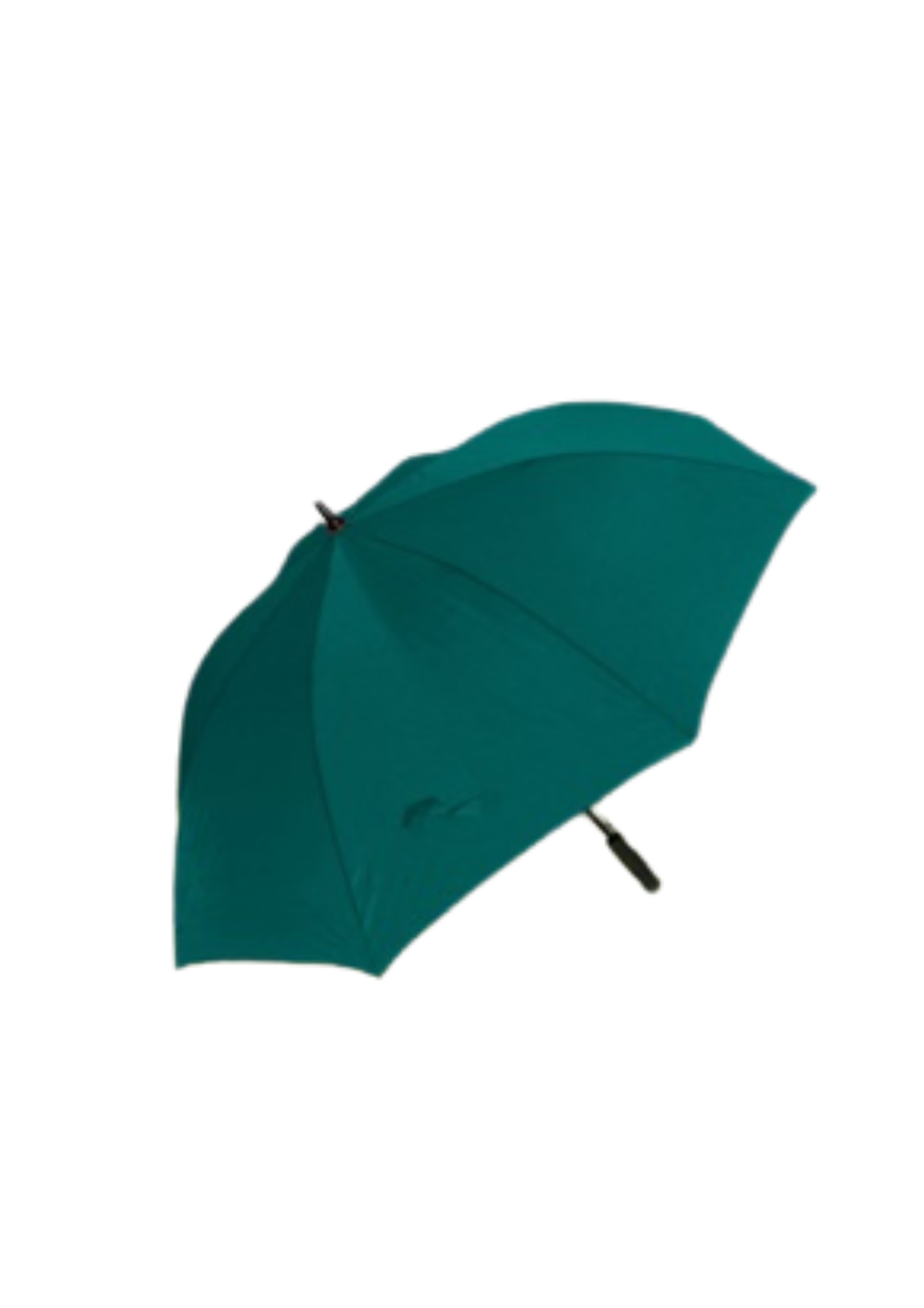 BLSC Branded Umbrellas
