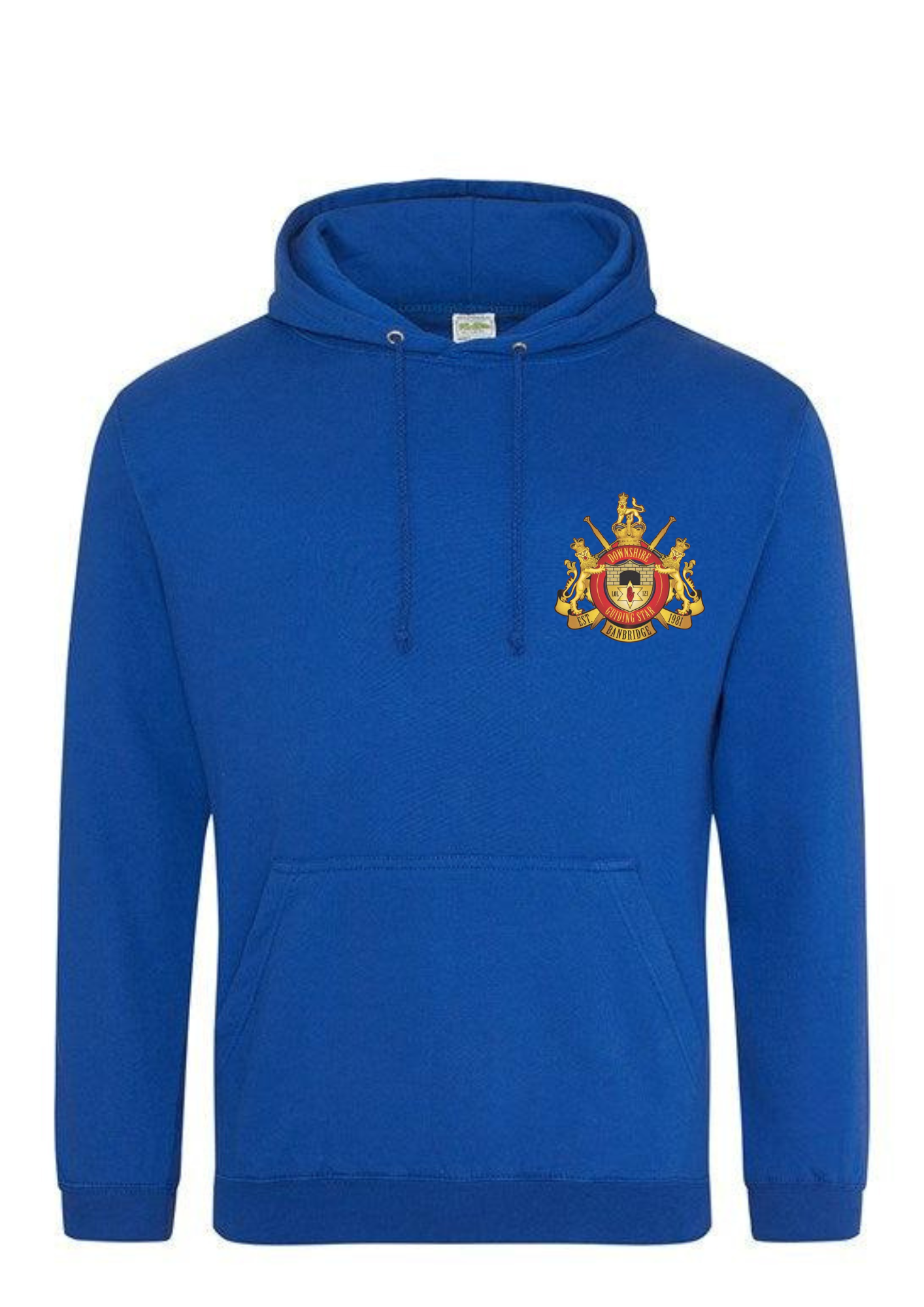 DGS College Hoodie