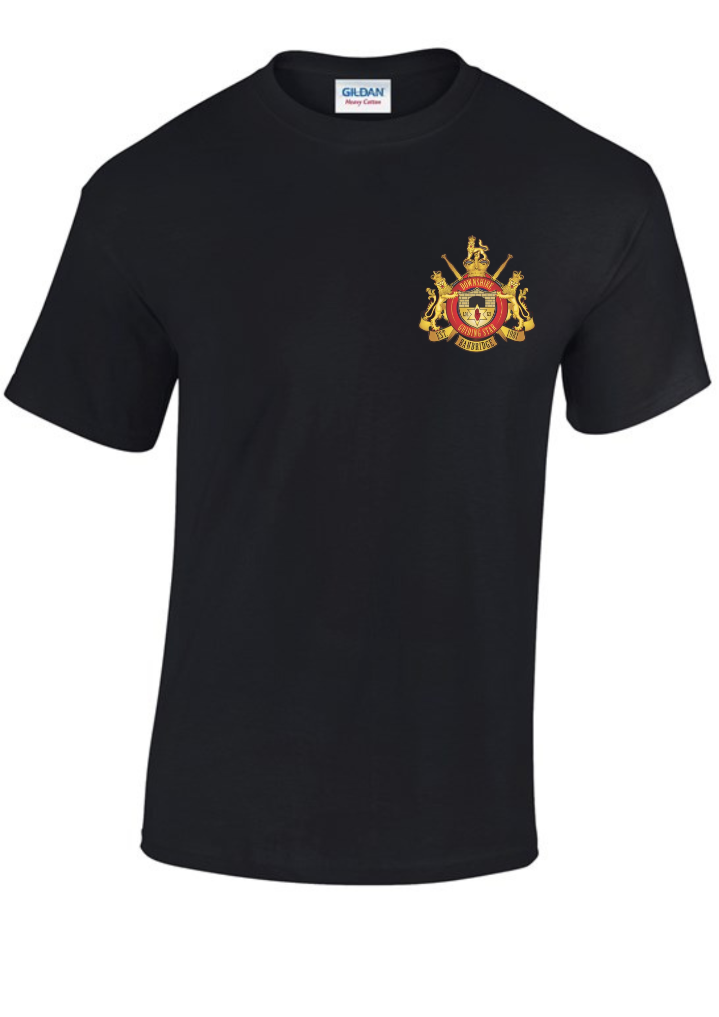 DGS Tee Shirt