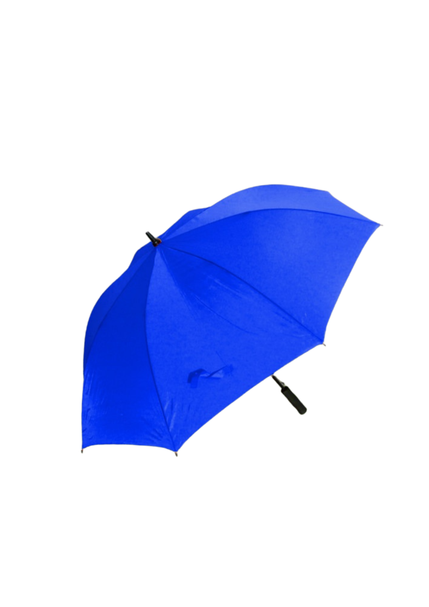 BLSC Branded Umbrellas