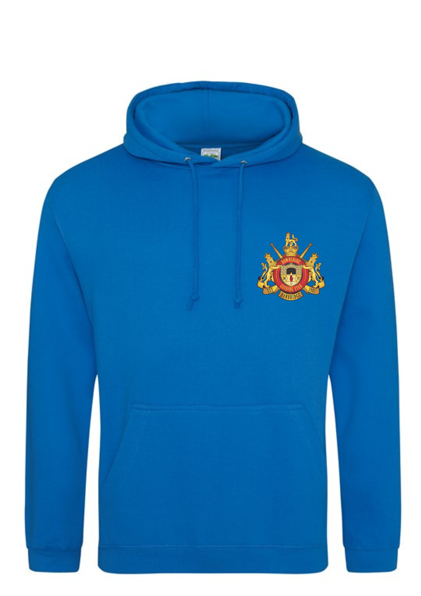 DGS College Hoodie
