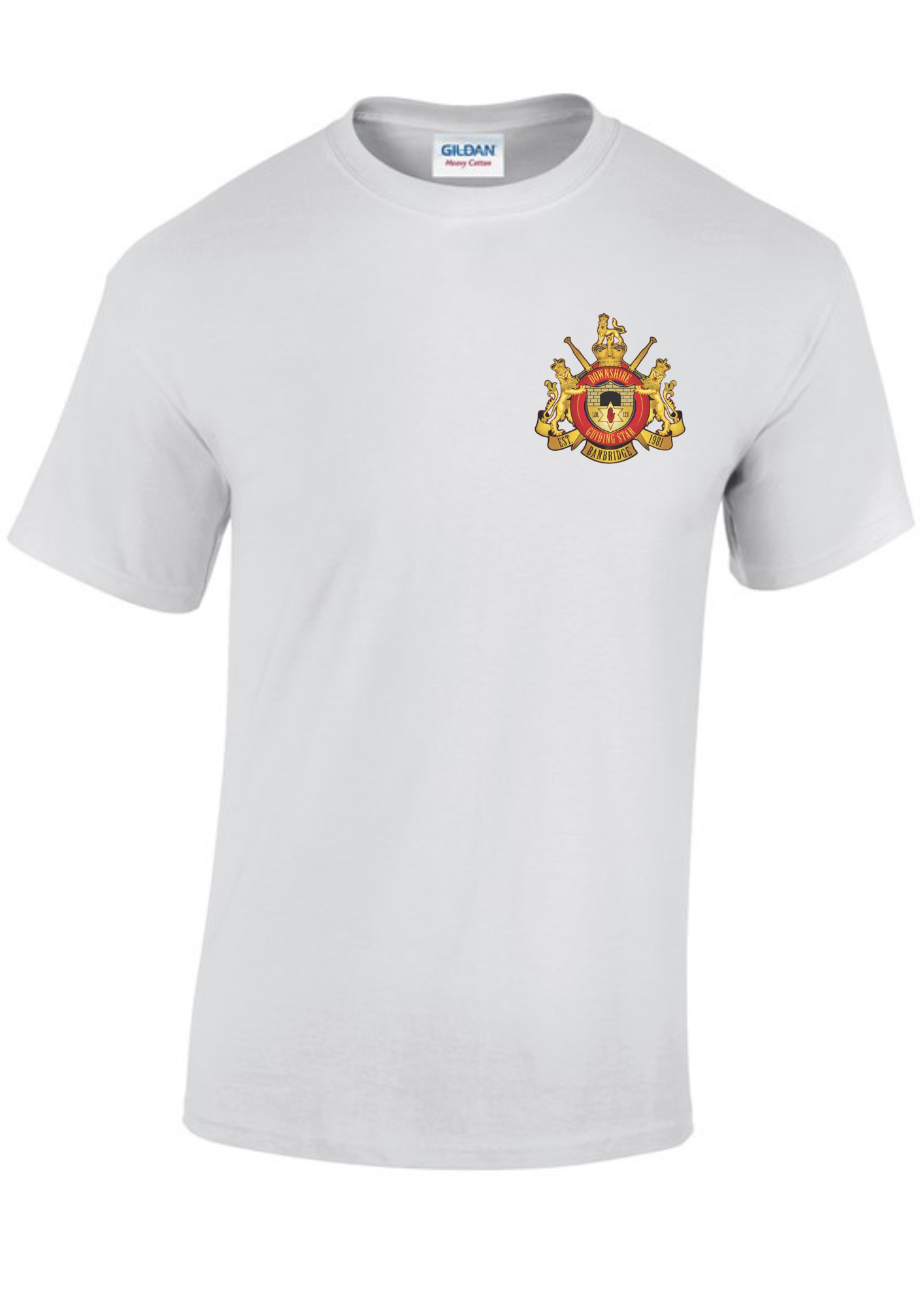 DGS Tee Shirt