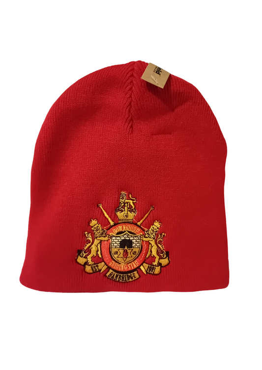 DGS Beanie Hat