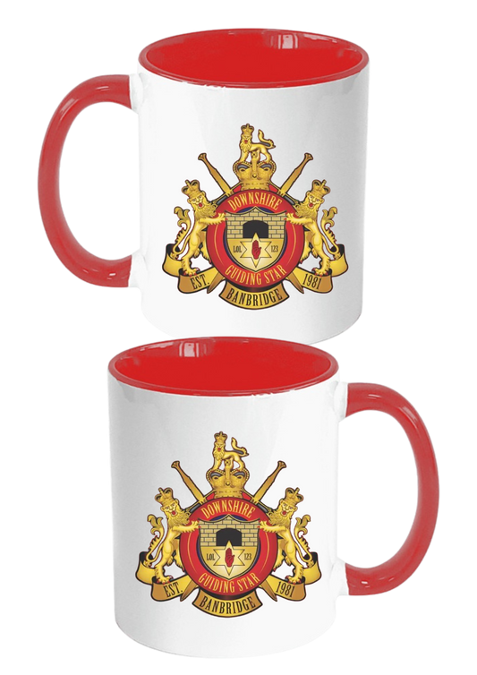 DGS Mug